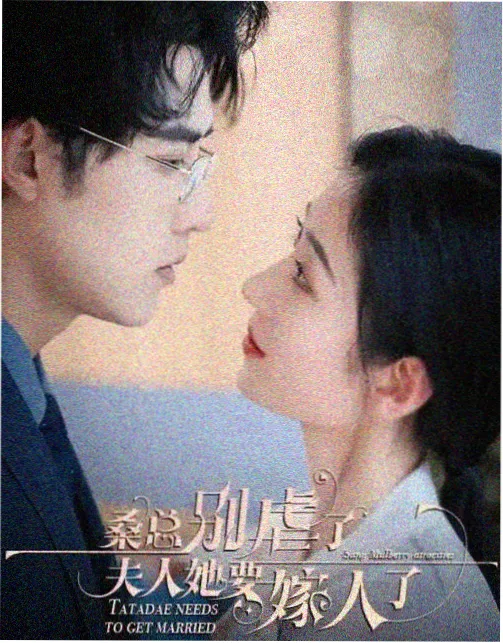 红果影视都市剧：北上广不相信眼泪